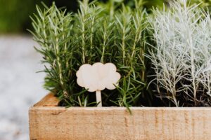 samen-pfann-saatgut-mix-blumen-gem-se-kr-uter image 3